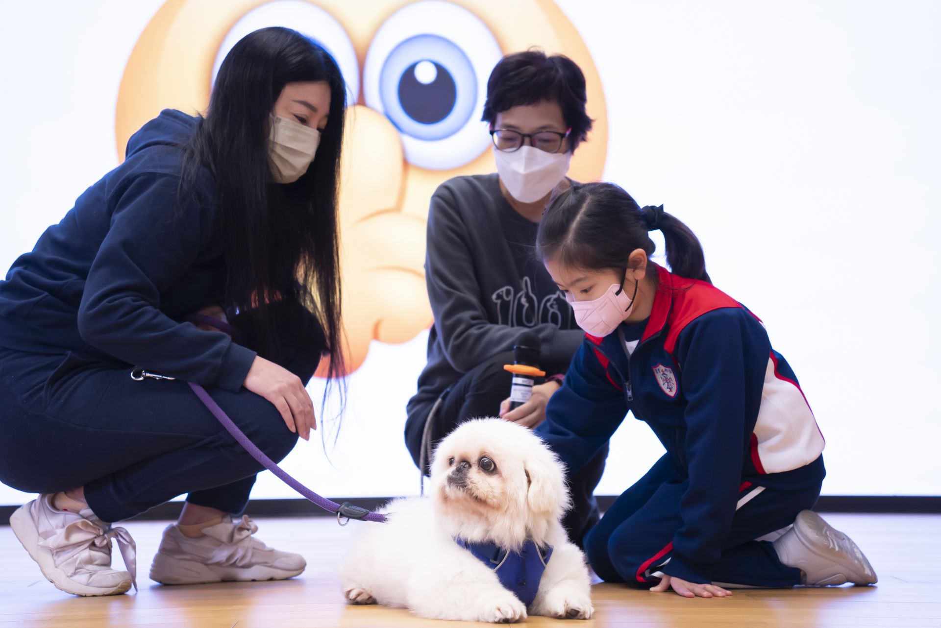 小一小二跨學科閱讀課程統整—-愛護動物協會到校講座