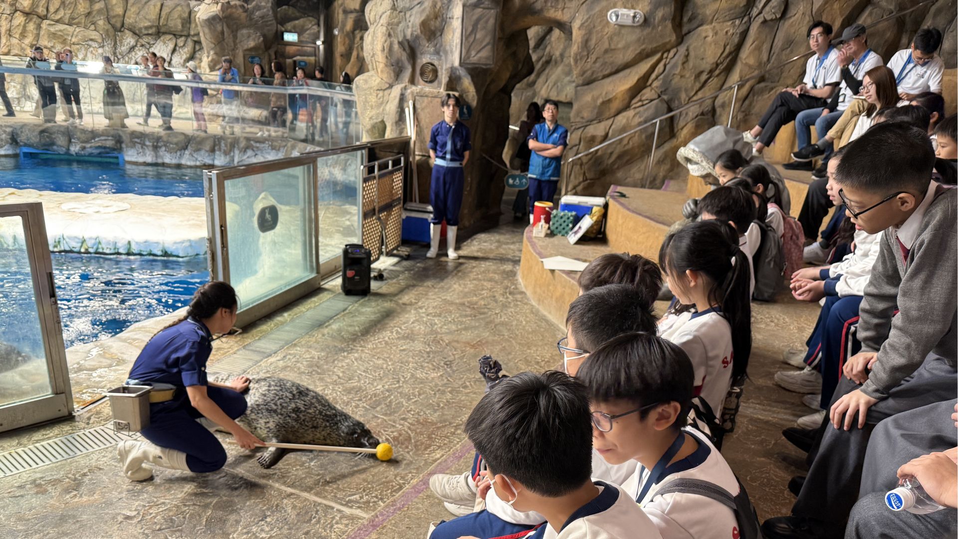 自然保育小先鋒出動！海洋公園學習之旅